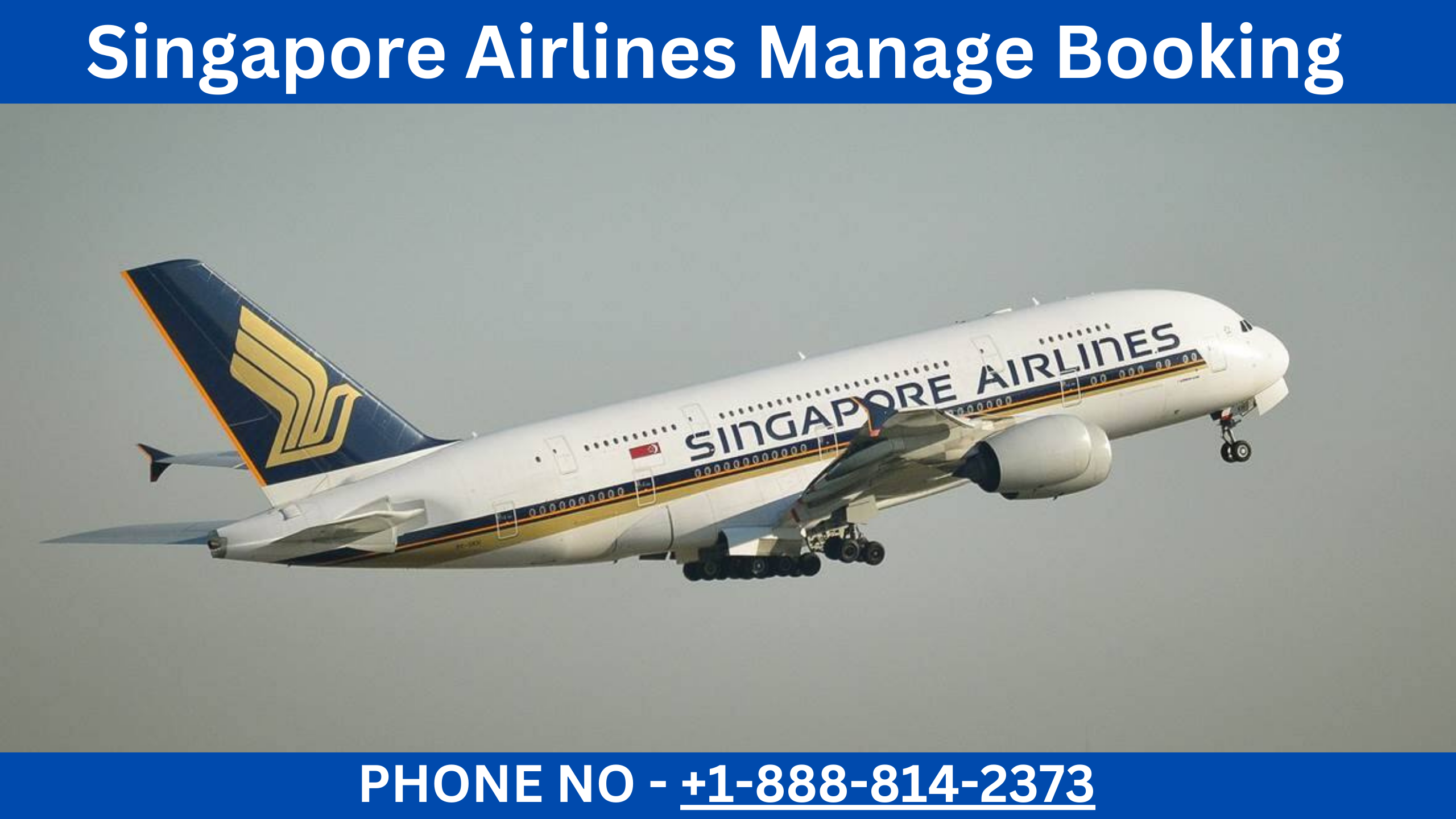 Singapore Airlines Manage Booking