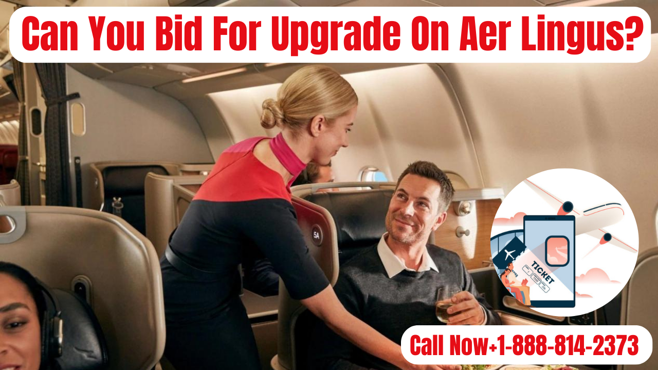 Can You Bid For Upgrade On Aer Lingus