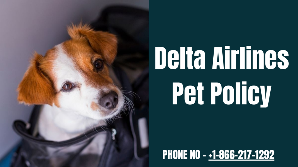delta airlines pet policy